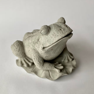 Frog on Lily Pad