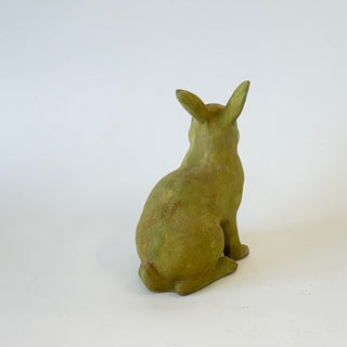 Medium Rabbit