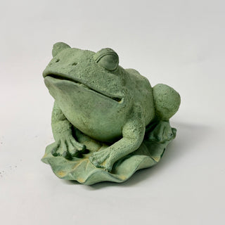 Frog on Lily Pad