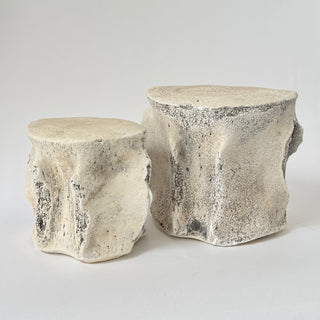 Sperm Whale Vertebrae