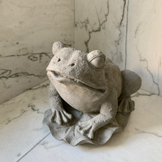 Frog on Lily Pad