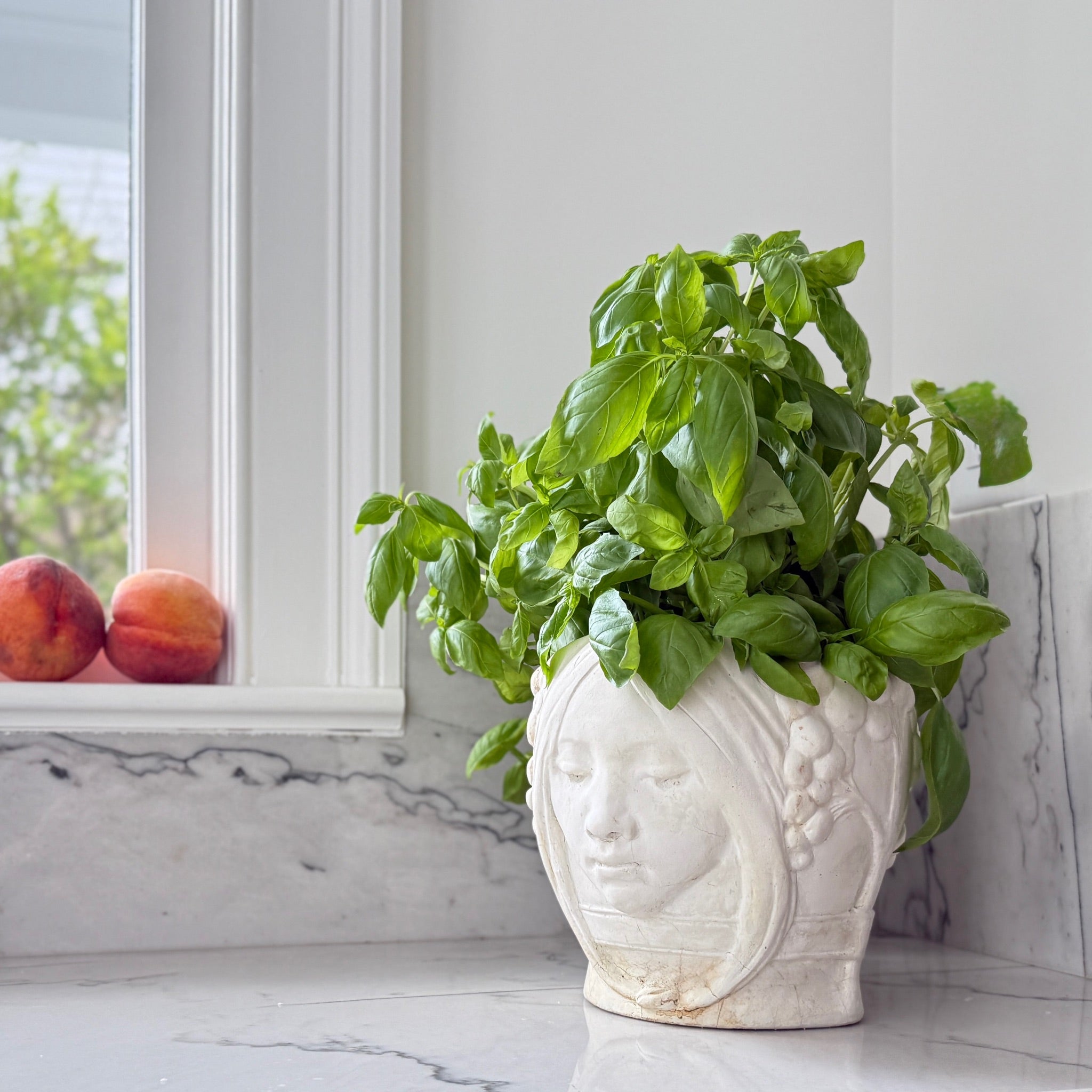 anthropologie plant lady pot Astral Twins Planter – House Parts, Inc