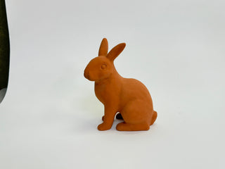 Medium Rabbit