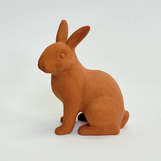 Medium Rabbit