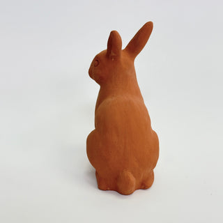 Medium Rabbit