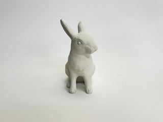 Medium Rabbit
