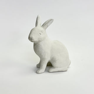 Medium Rabbit