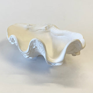 Mini Clam Shell