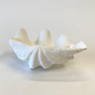 Mini Clam Shell