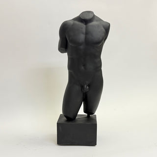 Male Torso