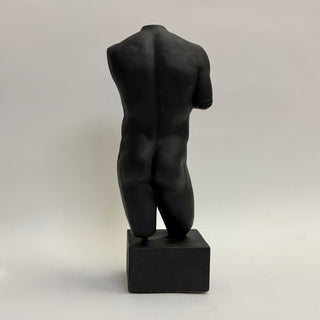 Male Torso