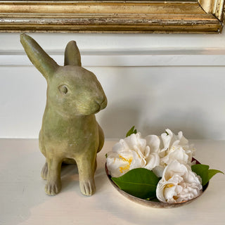 Medium Rabbit