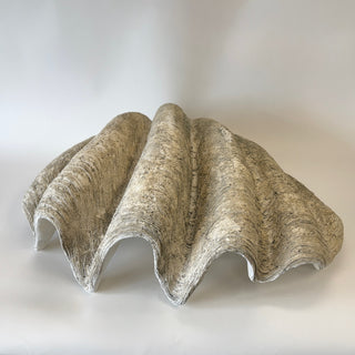 Giant Clam Shell