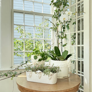 Laurel Leaves Planter