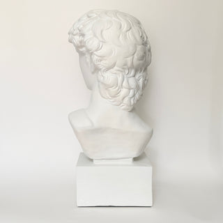 David