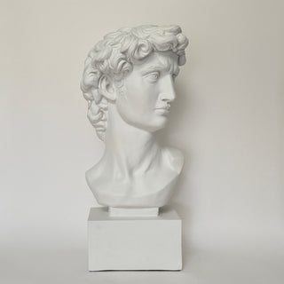David
