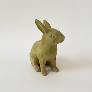 Medium Rabbit