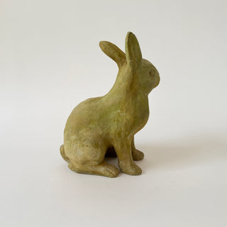 Medium Rabbit