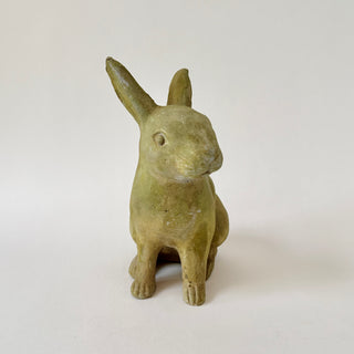 Medium Rabbit