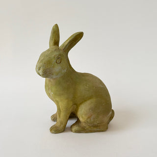 Medium Rabbit