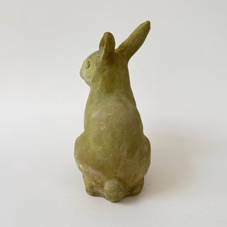 Medium Rabbit