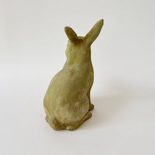Medium Rabbit