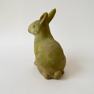 Medium Rabbit