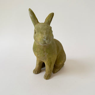 Medium Rabbit