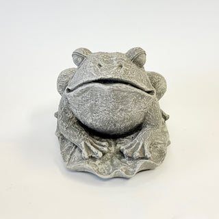 Frog on Lily Pad
