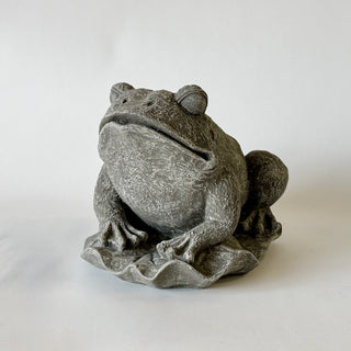 Frog on Lily Pad