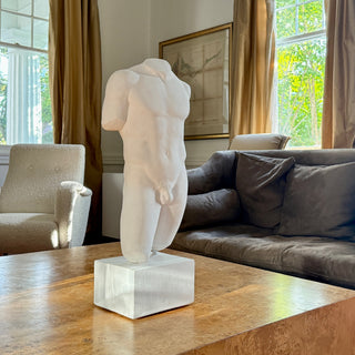Male Torso