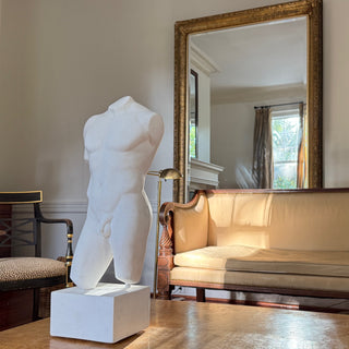 Male Torso