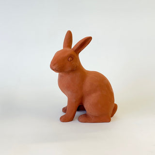 Medium Rabbit