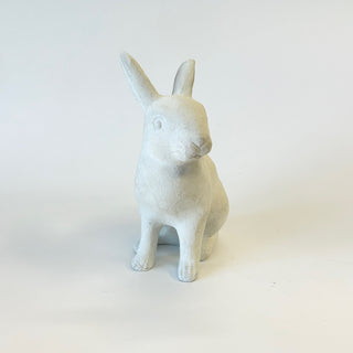 Medium Rabbit