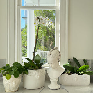 Astral Twins Planter