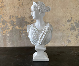 Bust of Diana