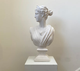 Bust of Diana