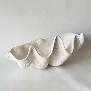 Indian Ocean Clam Shell