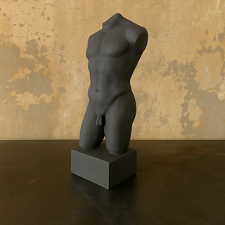 Male Torso