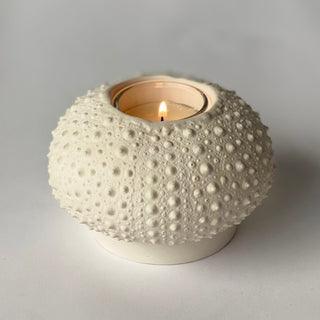 Sea Urchin Candleholder