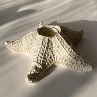 Starfish Candleholder