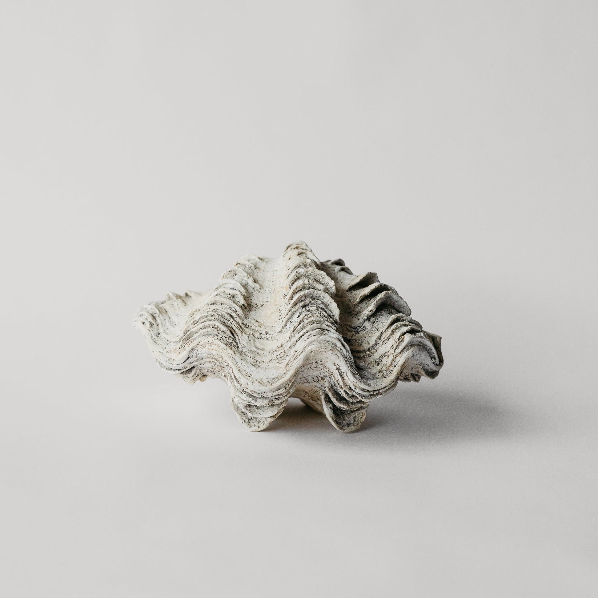 Double Clam Shell | House Parts Atlanta, GA – House Parts, Inc.