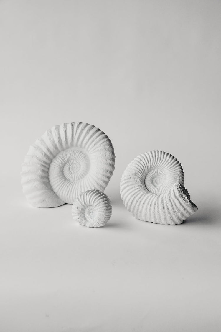 Product Finishes by House Parts Atlanta, GA House Parts, Inc.