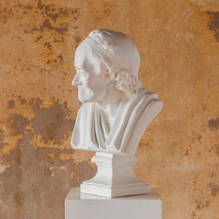 Voltaire by Houdon