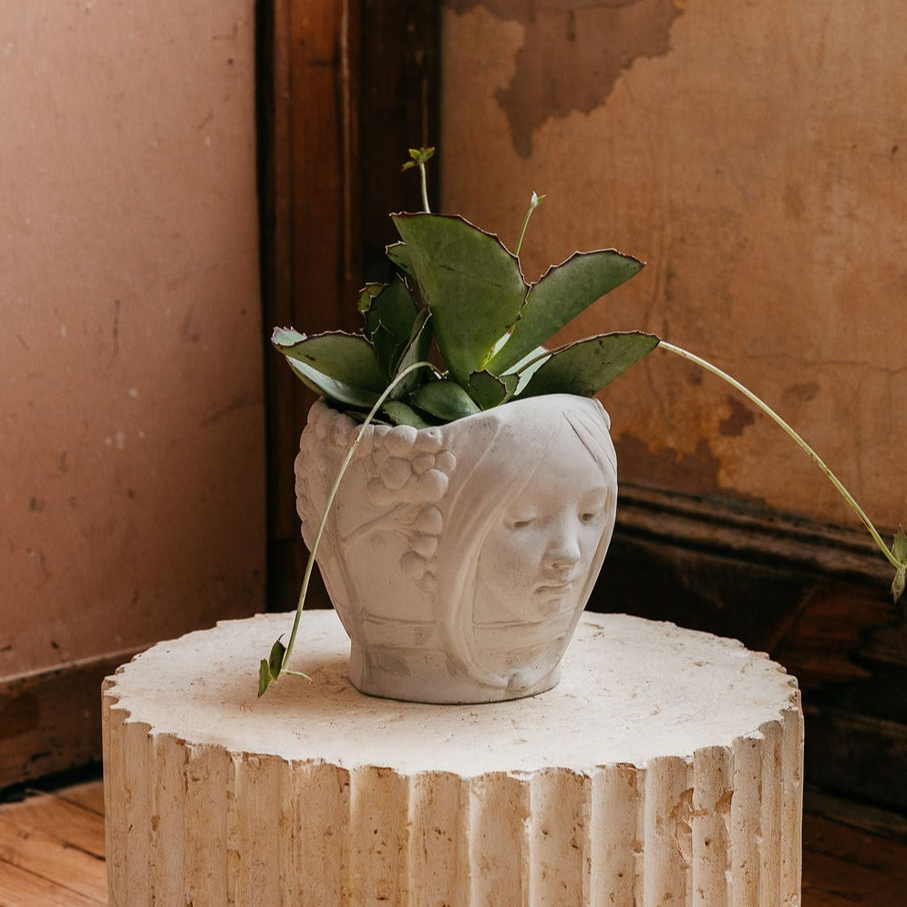 plant pot parts Astral Twins Planter